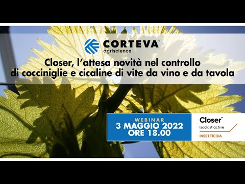 Video: Che cos'è la scala della cocciniglia: informazioni sul trattamento della scala della cocciniglia