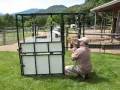 Alpaca Chute Features & Benefits Alpaca Chute Features & Benefits