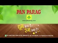 Pan parag