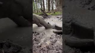 Muddy Rubber boots
