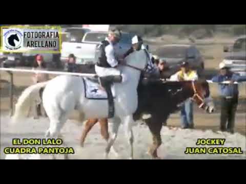 Revancha arcadia vs don lalo - YouTube