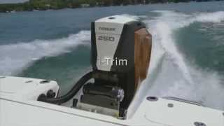 Evinrude E-TEC G2 iTrim