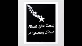 LYRICS would you catch a falling star