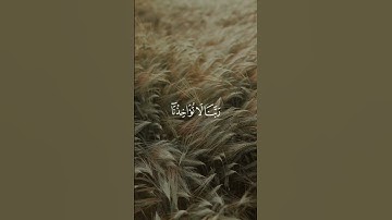 اكتب شيء تؤجر عليه | سورة البقرة جزء من الآية 286 القارئ محمد صديق المنشاوي