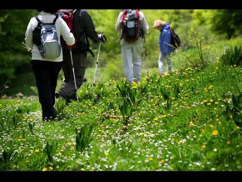 Video: Sa Hapa Duhet Të Bëjmë Një Ditë Për Të Qenë Të Shëndetshëm?