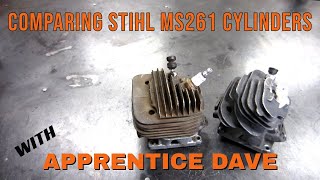 STIHL MS261 Chainsaw Cylinder Kit Comparisons With Dave My Apprentice