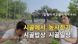 할머니는 농사의 감독! 모종심기 농사와 든든한 시골밥상