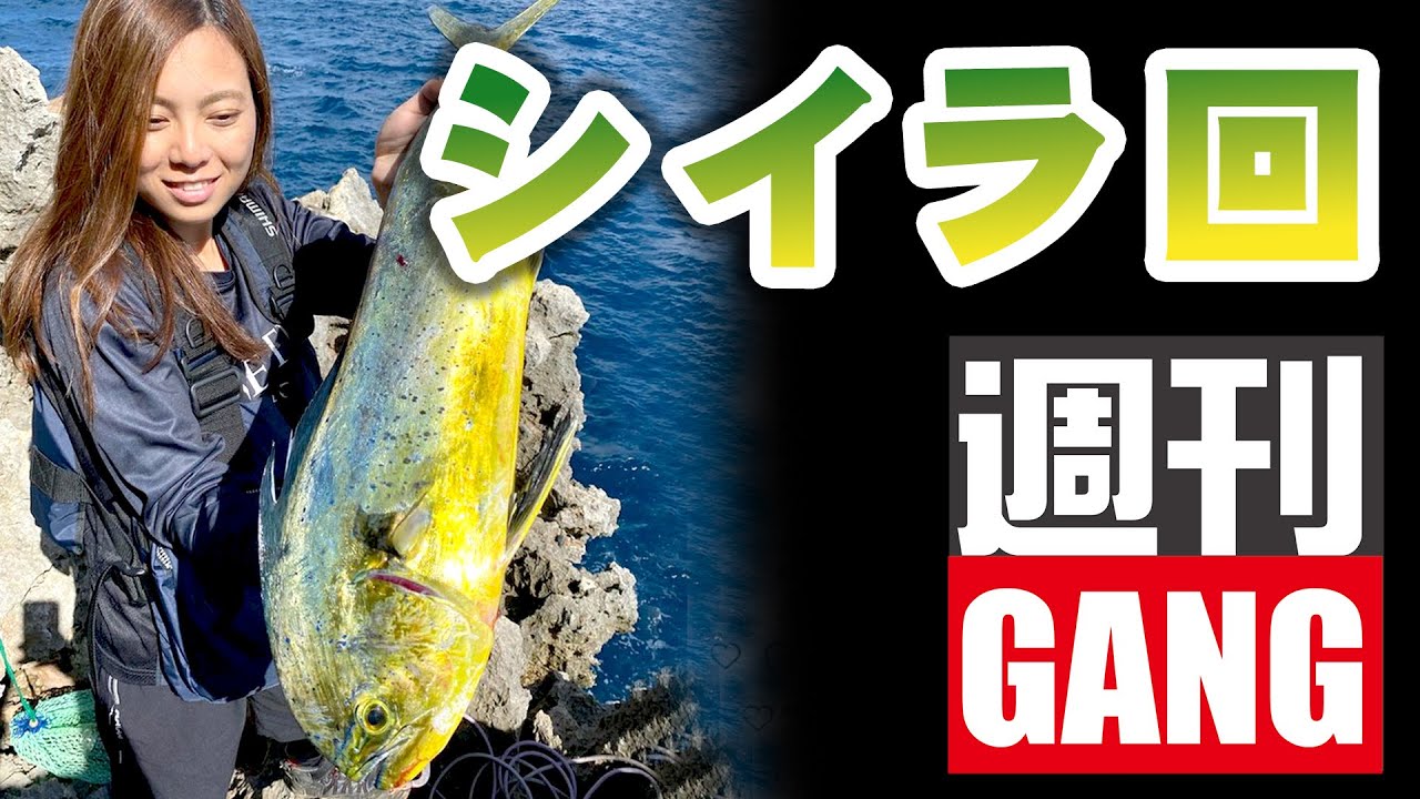 週刊GANG#2 | 秋のシイラ【旬の釣り】【最新タックル】【質問コーナー 
