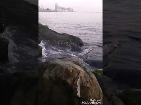 توبة ماحب هي مرة وتوبةة 2018