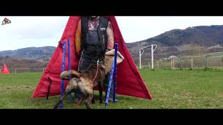 Father and son - Cannibal Rebel Dog & Glum Bojana Slovakia 25. 3. 2024