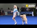 Dance &quot;Pilots&quot; / Dog dancing show &quot;Eurasia  2012 / Russia / Moscow&quot;. Freestyle.