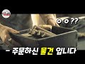 하필이면 《황무지 최강 여인》을 건드려버린 범죄 조직의 최후 [영화리뷰 결말포함]