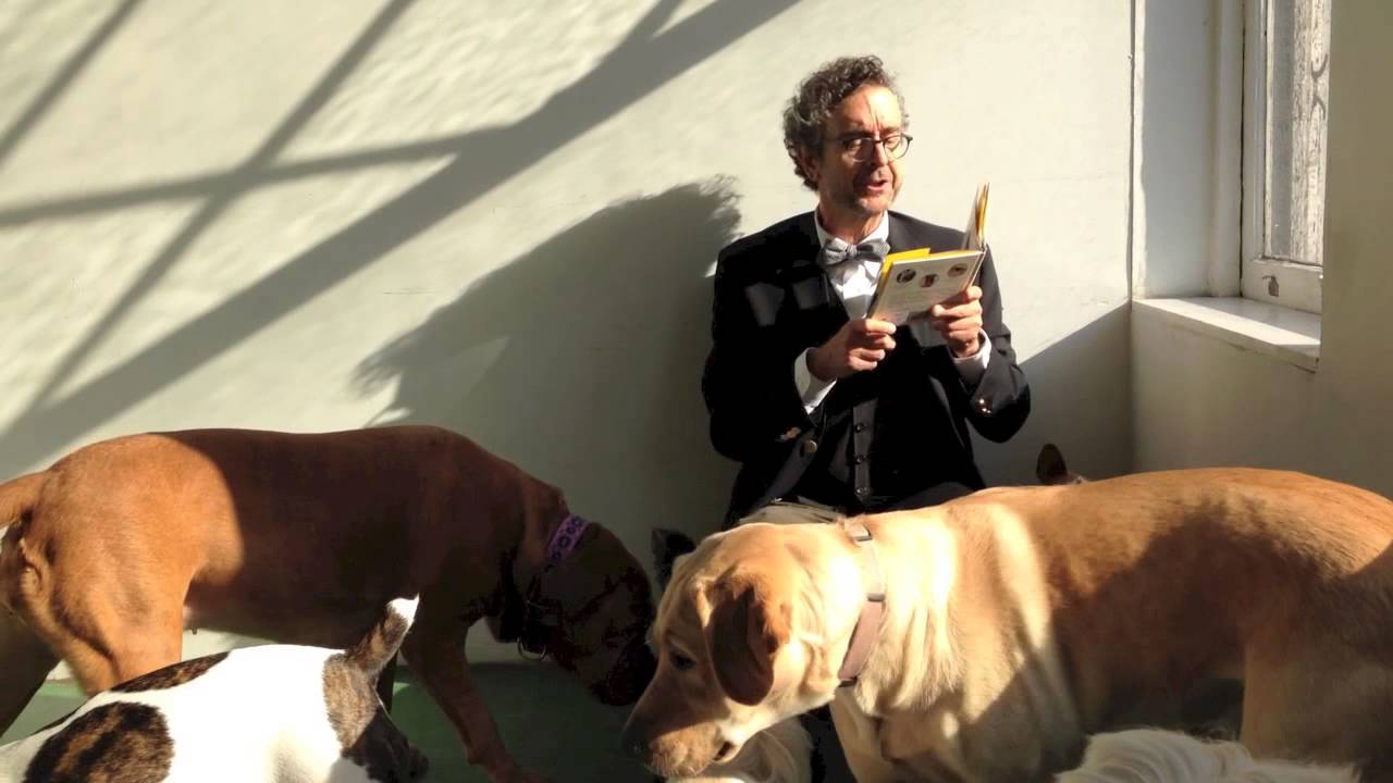 Throw The Damn Ball Poetry Reading at Dog Days YouTube