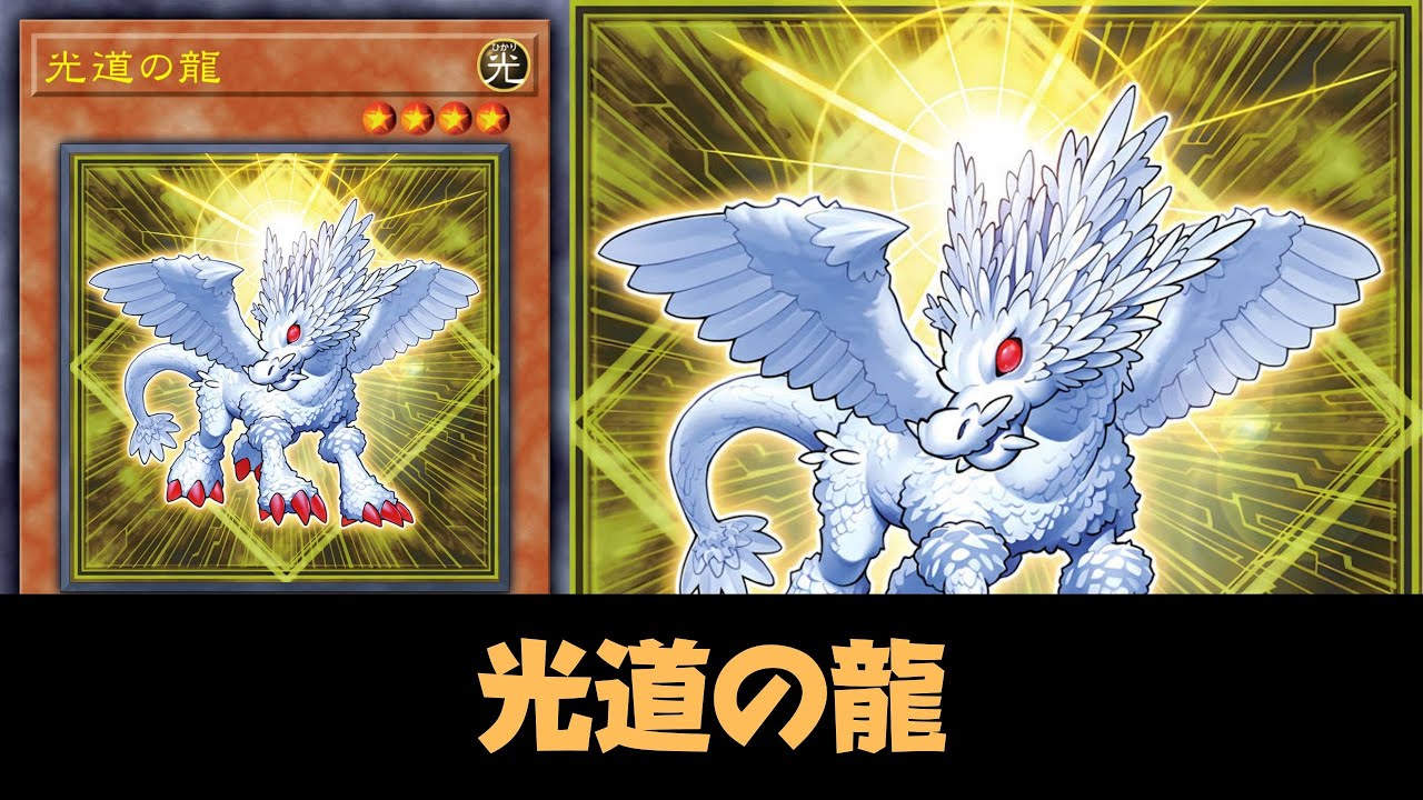 光道の龍でサーチも展開も思いのまま！！専用罠で制圧力も爆上がりな