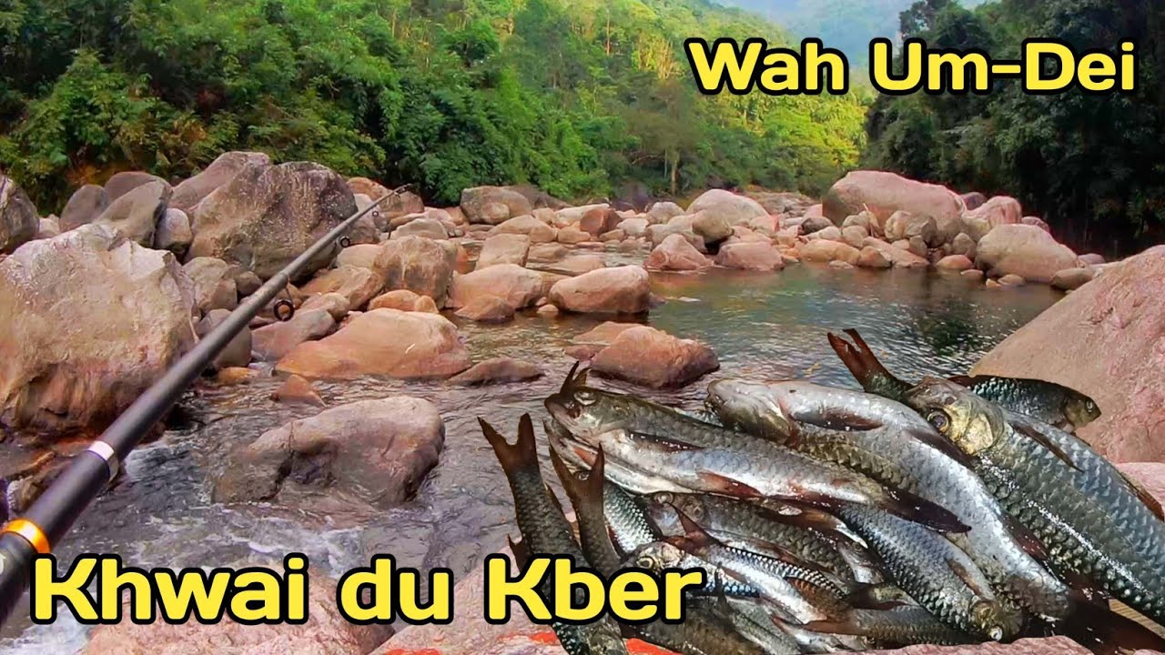Khwai Dohkha Wah-Umdei || Um-dei river || Flying termites fishing || Masheer fishing|| Life story