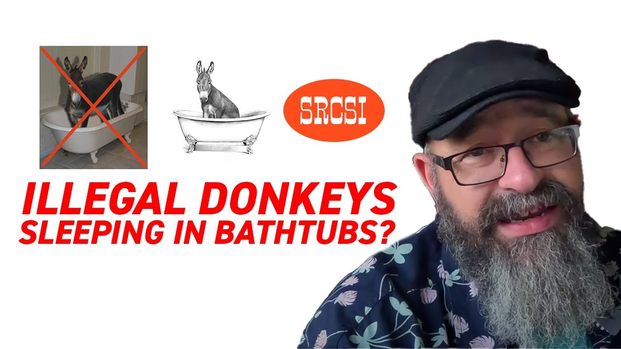 Why Is It Illegal to Let Donkeys Sleep in Bathtubs in Arizona? YouTube