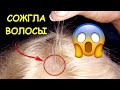 😱 ВЫПАЛИ ВОЛОСЫ ПОСЛЕ ОСВЕТЛЕНИЯ 😱