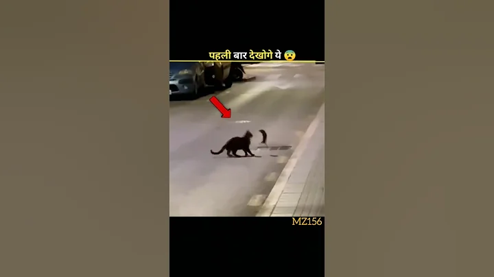 How A Parasite Causes Self-Sacrifice 😨 #shorts #facts