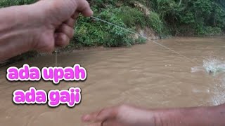 menengok tajur dan arai ada upah ada gaji