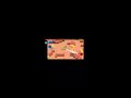 brawl stars duo met orhunta787