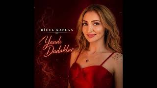DİLEK KAPLAN YANDI DUDAKLAR