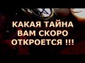 КАКАЯ ТАЙНА ВАМ СКОРО ОТКРОЕТСЯ❗👀💥О ЧЕМ ВАЖНОМ ВАМ РАССКАЖУТ СЕГОДНЯ КАРТЫ ❓ #таролюбви#таросегодня