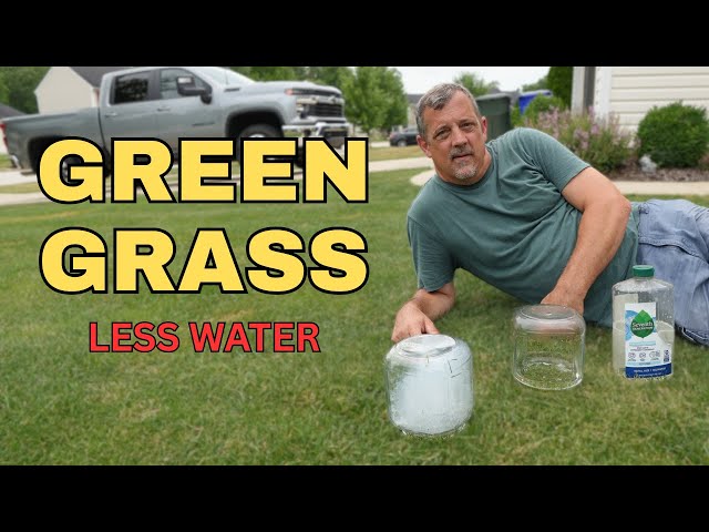 Should You Mow Lawn Less Often to Save Water: Smart Tips