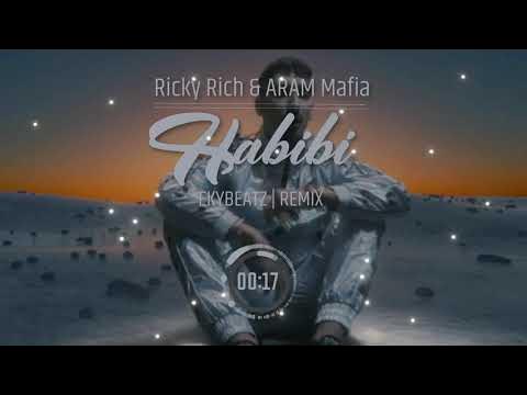 Habibi ricky rich