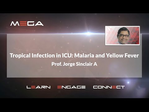 Tropical Infection in ICU: Malaria and Yellow Fever  Prof.  Jorge Sinclair A