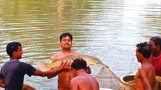 বিশাল বড় পুকুরে বিশাল আকারের একটা মাছ হয়েছিল।