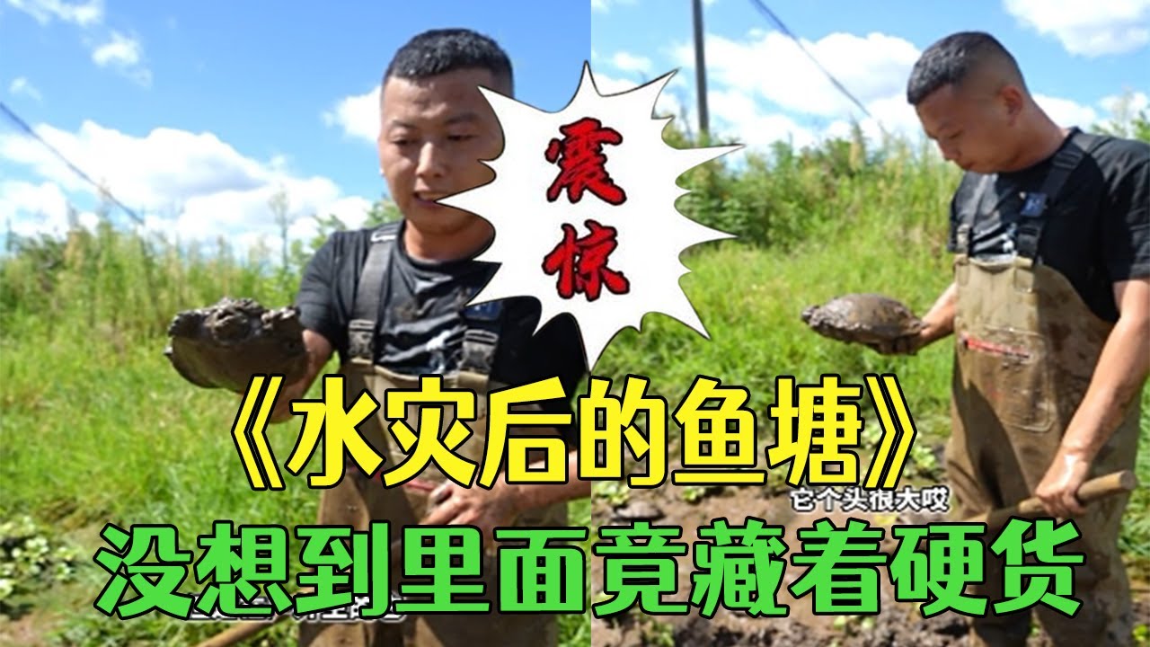 花600包下壹口水災後的魚塘，沒想到裏面竟藏著硬貨#三農 #新農人計劃2025 #戶外 #小飛哥#包塘