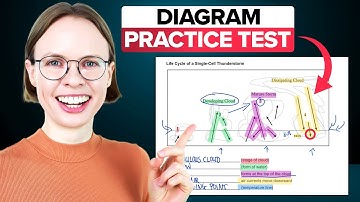 IELTS Reading Diagram Label Completion Tips and Practice Test | STEP-BY-STEP Explanations