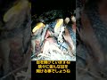 目を開け始めたスズメ達-生後6日目
