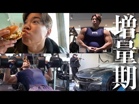 増量期に好きなもの食べながら筋肉デカくする筋トレ方法と食事！