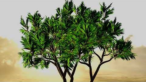 Houdini Vellum Tree Rig - Initial setup (rnd)