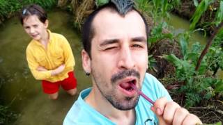 Baza Ulmu Indiegogo Campaign