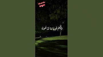 ❤️تلاوه عطره مباركه هديه للايات من 30 إلى 34 من سورة فصلت❤️