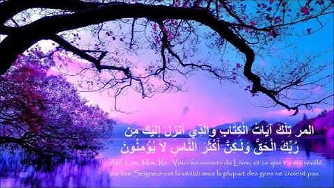 القارئ سعيد دباح - مقطع من صلاة التراويح لليلة 18 من رمضان 2016/1437