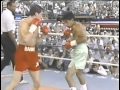 1986 steve cruz vs barry mcguigan fight of the year