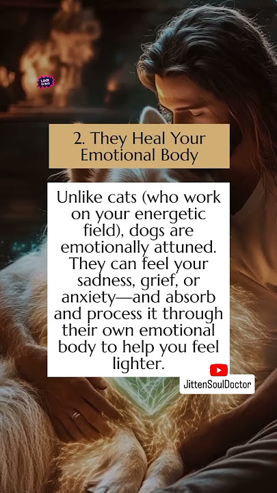 Dogs are soul healers in fur coats, sensing what words can't say✨️Their love is pure energy😍