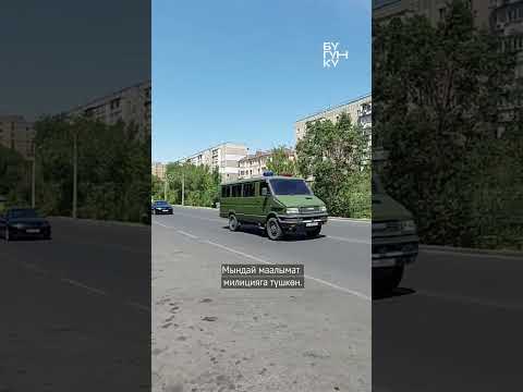 Video: Жардыруучу жаздыктар отургучка жалпы сереп