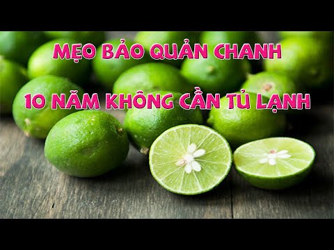 Video Mẹo bảo quản chanh 10 năm không cần tủ lạnh | preserve... - youtube