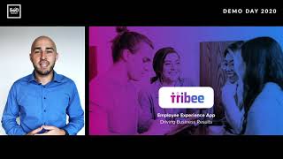 TRIBEE | 500 Startups Vietnam Demo Day 2020 | Nov 2020, HCMC screenshot 3