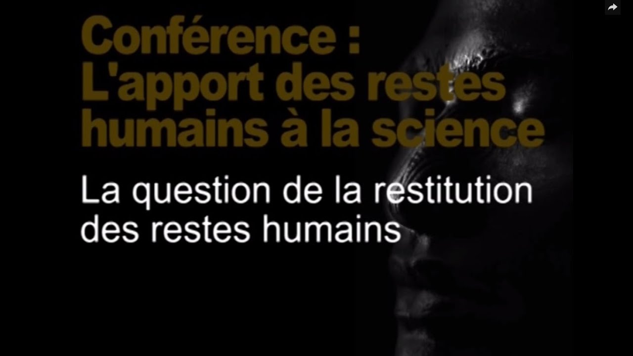 La question de la restitution des restes humains (Restitution des têtes maories / tout public 2/3)
