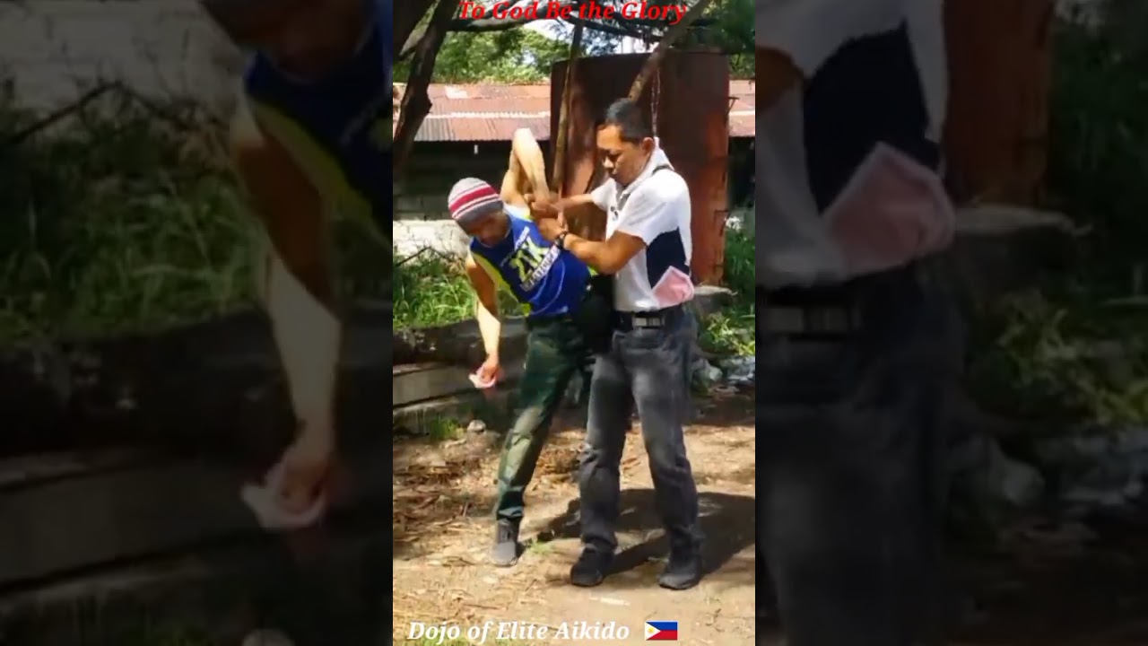 Never Show your money while walking - Aikido Pin down technique 