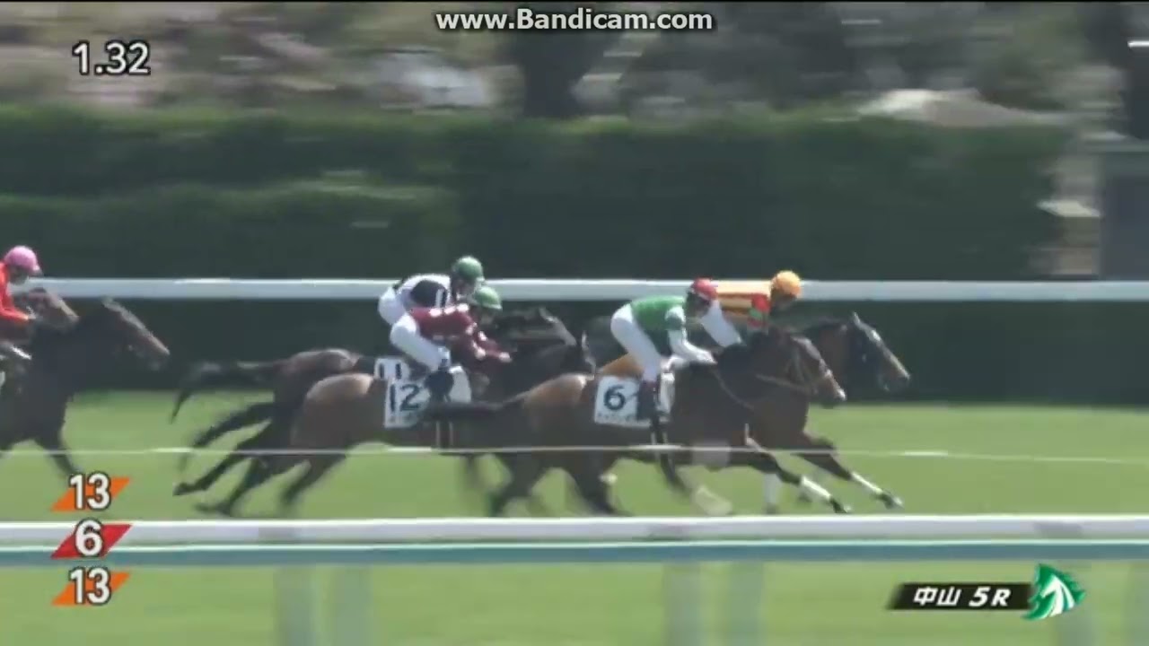 三歳未勝利様確認用 ティラーノ 3歳未勝利 - YouTube