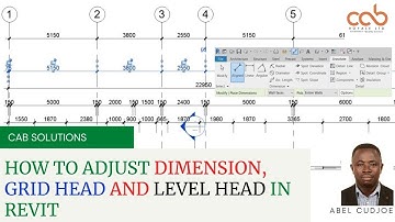 HOW TO ADJUST DIMENSION TICK, GRID HEAD AND LEVEL HEAD IN REVIT