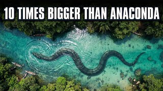Found in Amazon... 10X Bigger Than Anaconda