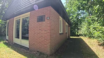 Forest walk - Putten, Fall asleep while we walk