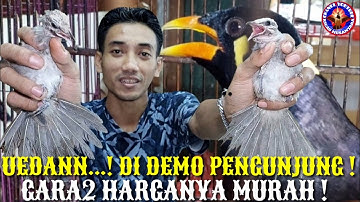 NGERII EUY..! DI SERBU GARA GARA HARGANYA MURAH ! FULL STOCK FULL PENGUNJUNG